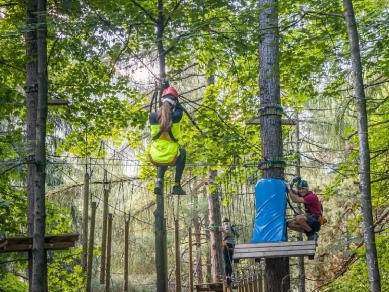 jungle rider3